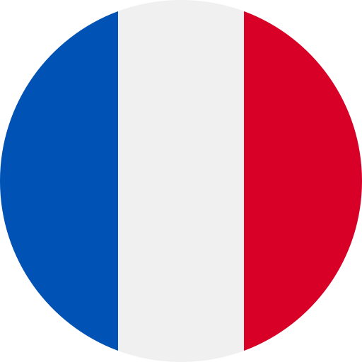 Icône générique france